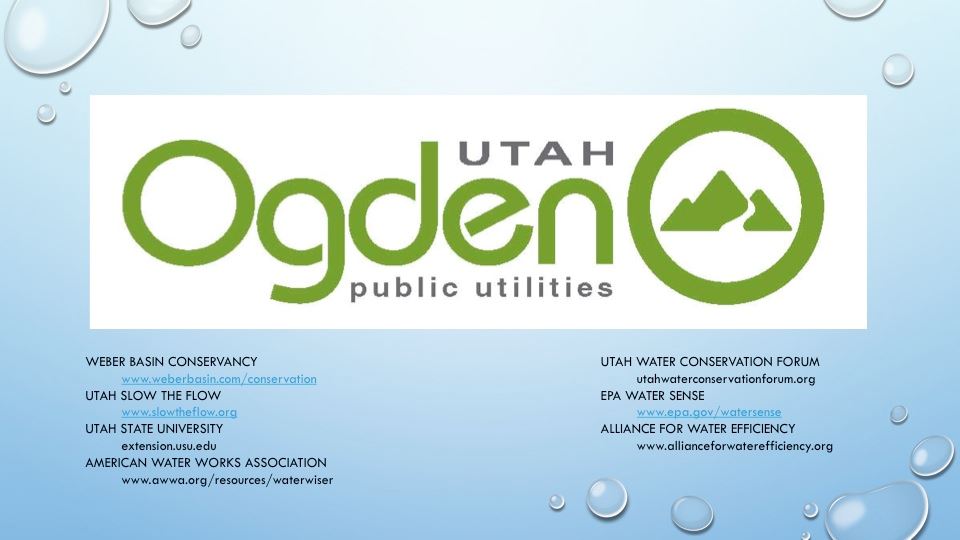 The Big Picture - Slide  20